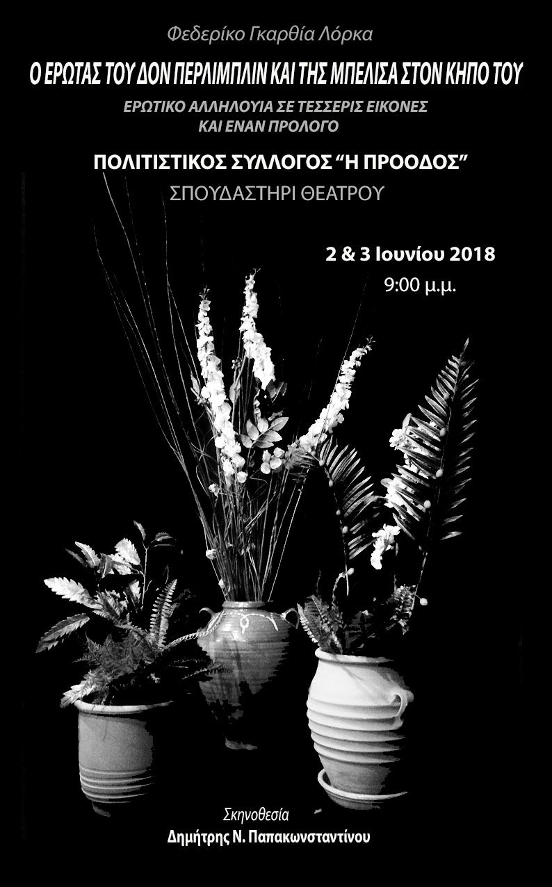 34317569 1659693934148061 2680989852555542528 o